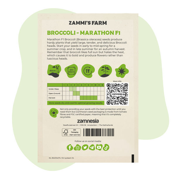 Broccoli Marathon F1 (Brassica oleracea) frø