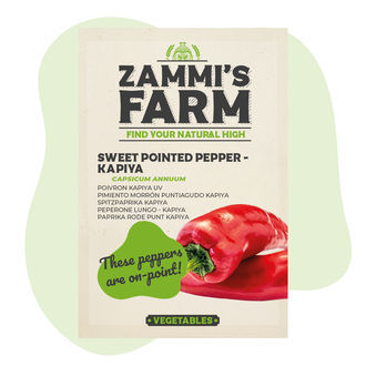 Sød spids peber Kapiya (Capsicum annuum) frø