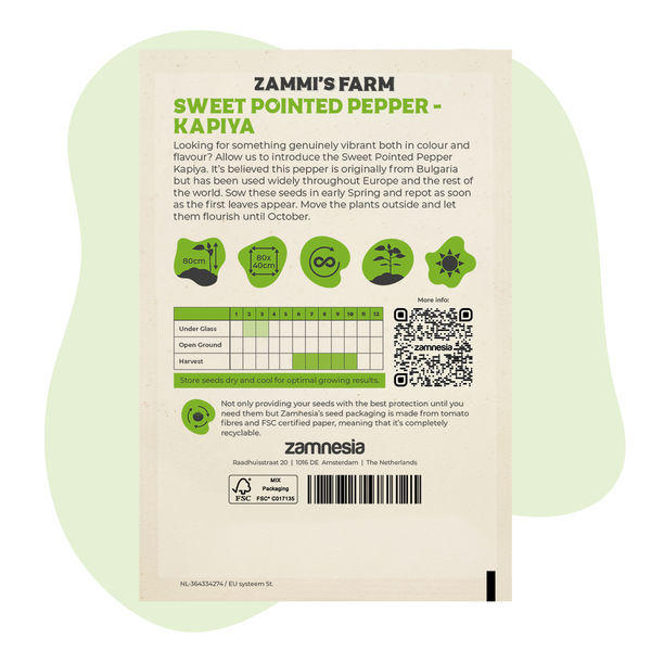 Sød spids peber Kapiya (Capsicum annuum) frø