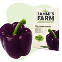 Paprika Purple Bell (Capsicum annuum) frø