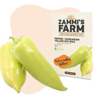 Ungarsk gul hot wax-peber (Capsicum annuum) fr&oslash;