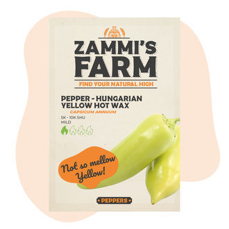 Ungarsk gul hot wax-peber (Capsicum annuum) frø
