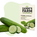 Telegraph-agurk (Cucumis sativus) frø