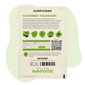 Telegraph-agurk (Cucumis sativus) frø