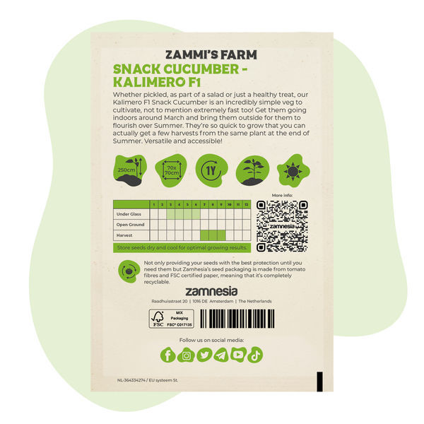 Kalimero F1 snackagurk (Cucumis sativus) frø
