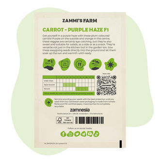 Purple Haze F1-gulerodsfrø (Daucus carota L.)