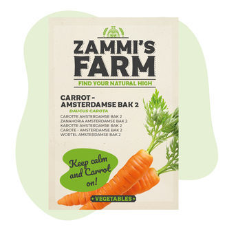 gulerod amsterdamse bak 2 (Daucus carota) frø