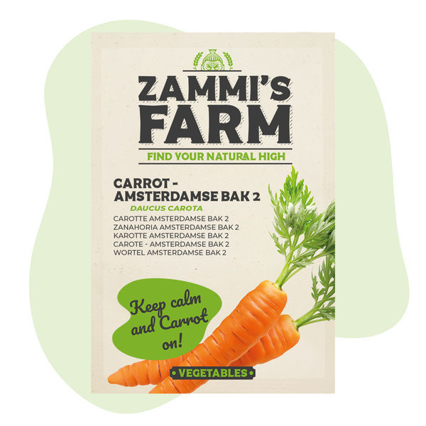 gulerod amsterdamse bak 2 (Daucus carota) frø