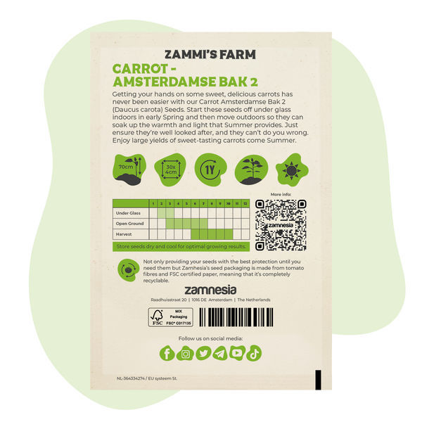 gulerod amsterdamse bak 2 (Daucus carota) frø