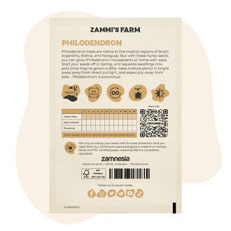Philodendron (Philodendron selloum) frø