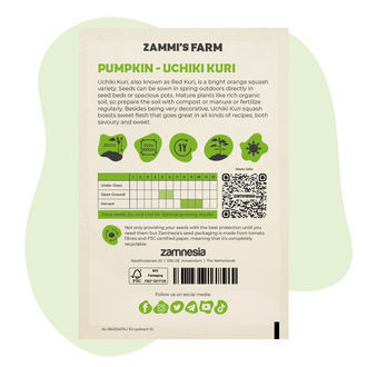 Uchiki Kuri-græskar (Cucurbita maxima) frø