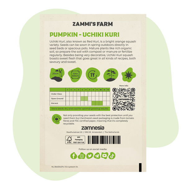 Uchiki Kuri-græskar (Cucurbita maxima) frø