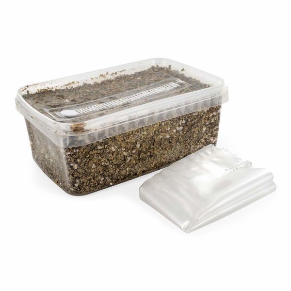 Steriliseret substratkit