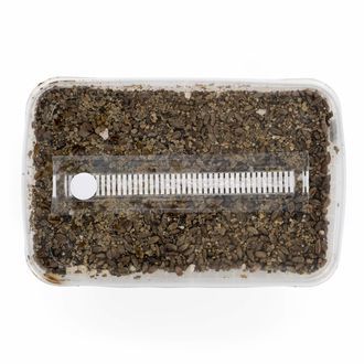 Steriliseret substratkit