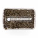 Steriliseret substratkit