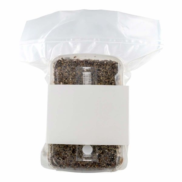 Steriliseret substratkit