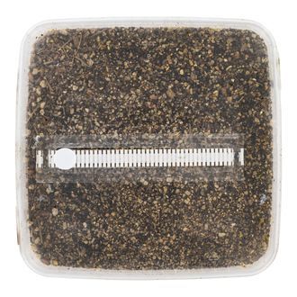 Steriliseret substratkit