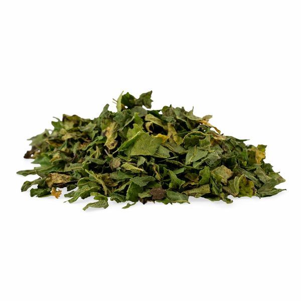 Økologiske brændenældeblade (Urtica dioica)