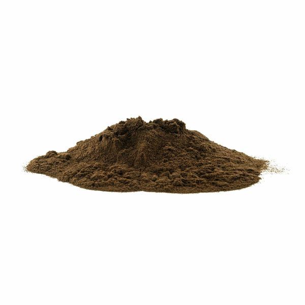 Økologisk chaga-ekstrakt (Inonotus obliquus)