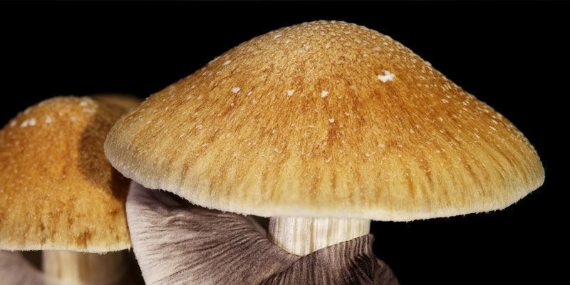 Hat Cap