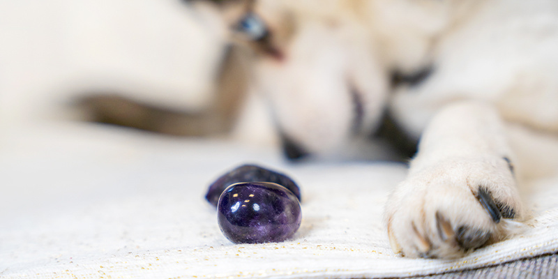 Ametyst Amethyst
