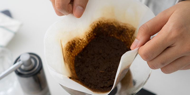 Hvilke kaffegrums er bedst til cannabis? Which coffee grounds are the best for cannabis?