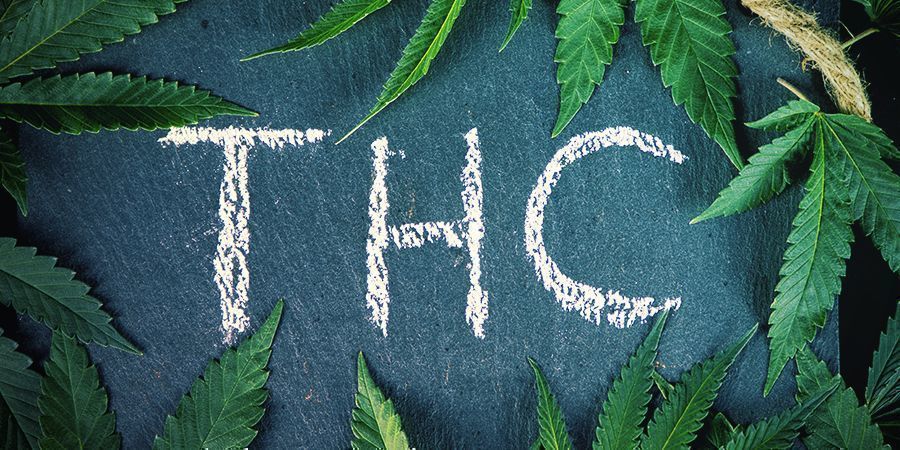 Hvad er forskellen på hamp og cannabis? Hvad er forskellen på hamp og cannabis?