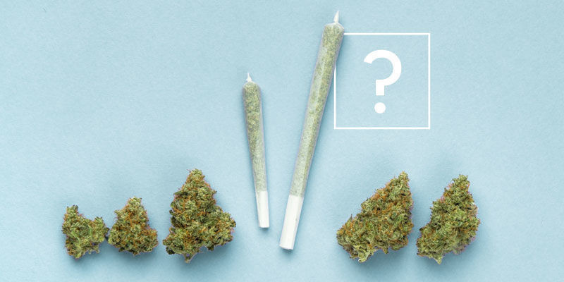 Hvor mange joints kan du rulle af ét gram cannabis? Hvor mange joints kan du rulle af ét gram cannabis?