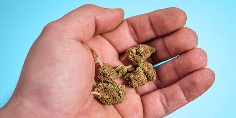 Forskere forklarer, hvor meget cannabis der er i en gennemsnitlig joint Forskere forklarer, hvor meget cannabis der er i en gennemsnitlig joint