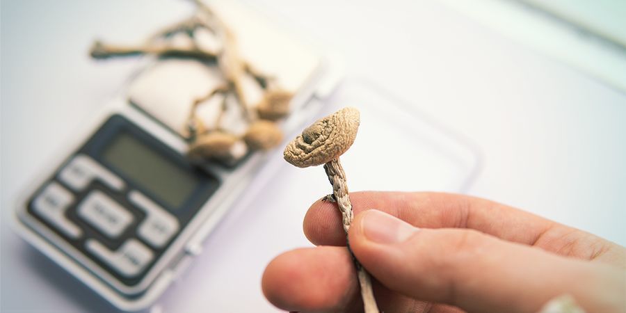 Hvad du skal gøre, hvis du får en dårlig psykedelisk oplevelse