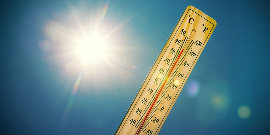 Høje temperaturer ved cannabis cannabis high temperatures