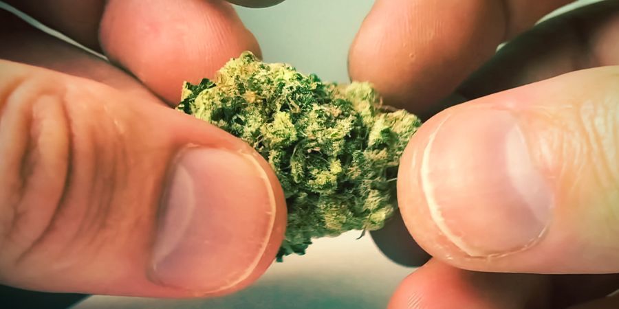 Berøring: Sticky Icky Touch: Sticky Icky