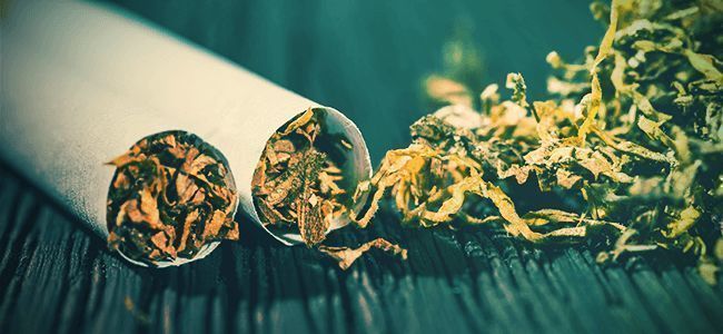 Top 10 grunde til at droppe tobak og ryge ren marihuana
