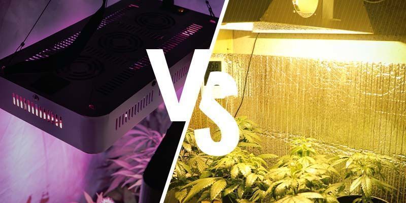 Er LED-vækstlys lige så gode som HPS? Er LED-vækstlys lige så gode som HPS?