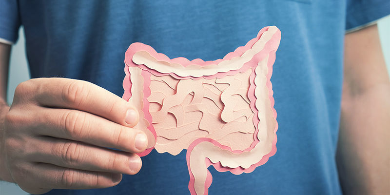 Hvordan cannabis påvirker fordøjelsen How Cannabis Affects Digestion