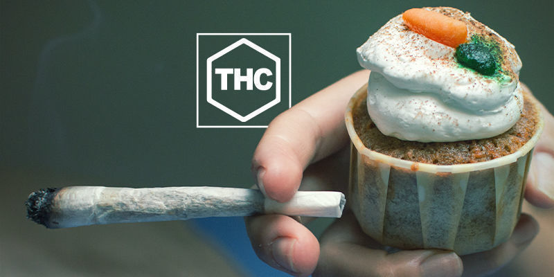 THC & Ghrelin-produktion THC & Ghrelin Production