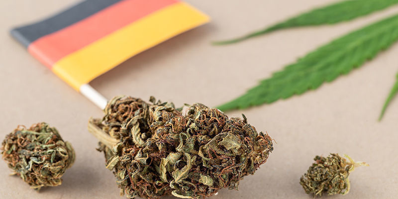 Kritik af Tysklands nye cannabislovgivning Kritik af Tysklands nye cannabislovgivning