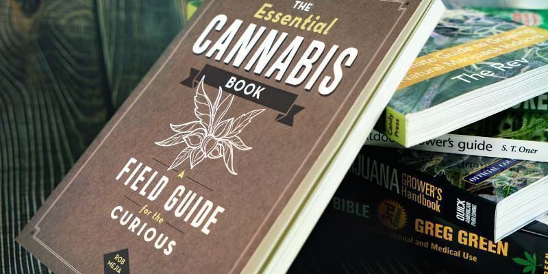 Den essentielle cannabisbog The Essential Cannabis Book