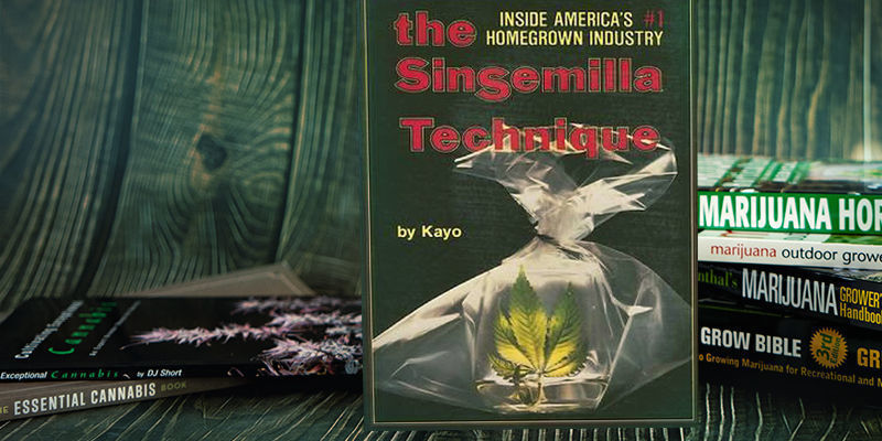 Sinsemilla-teknikken The Sinsemilla Technique