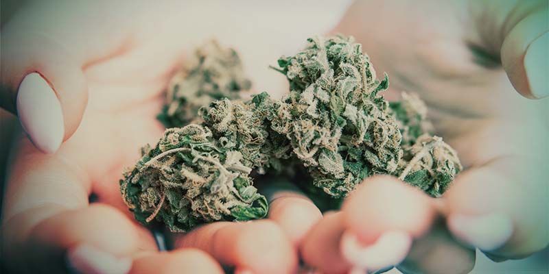 Hvad er popcorn buds? What Are Popcorn Buds?