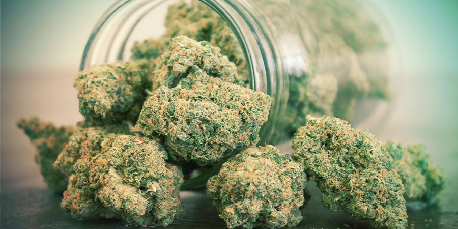 HVOR MEGET CANNABIS HAR JEG BRUG FOR?