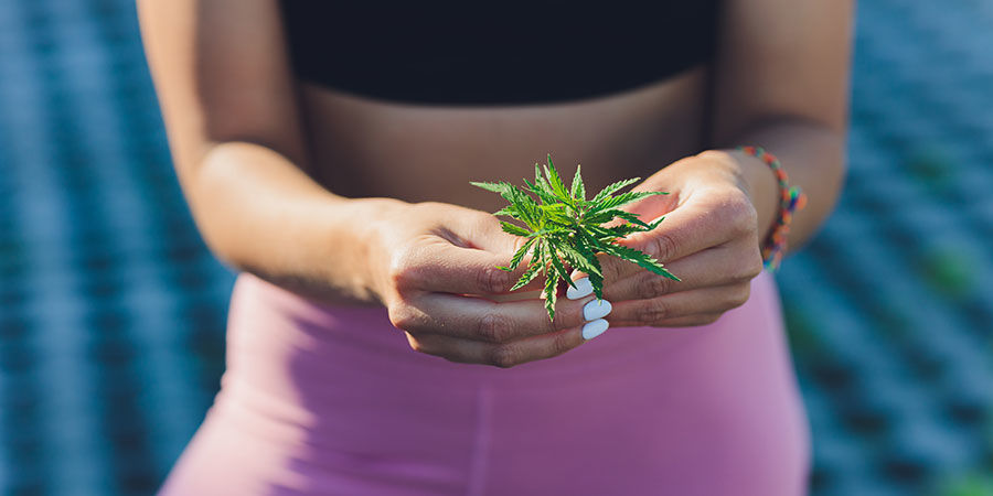 Cannabis og sport Weed and sports