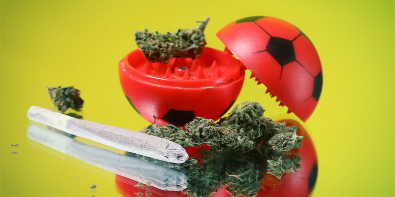Sådan bruger du cannabis til sportspræstation Sådan bruger du cannabis til sportspræstation