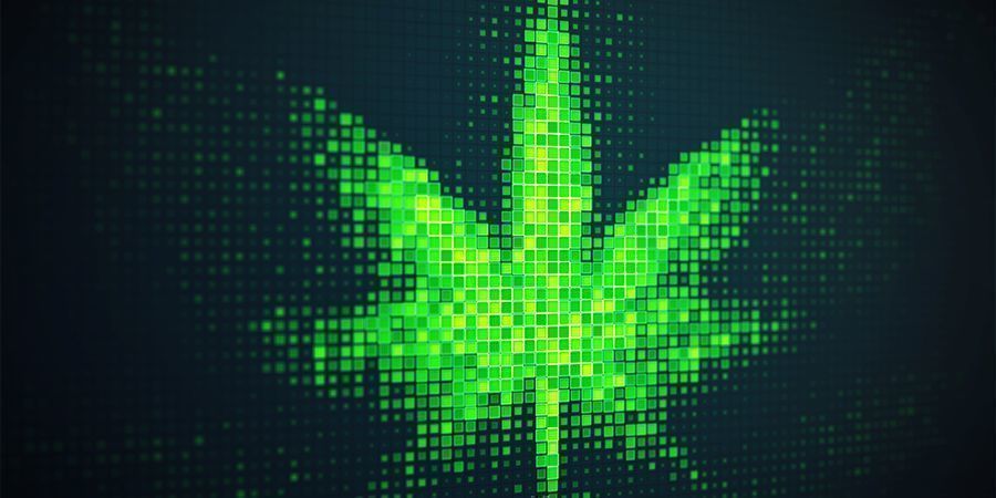 Ofte skæv, men aldrig ked: Internettet er et sandt paradis for stoners Ofte skæv, men aldrig ked: Internettet er et sandt paradis for stoners