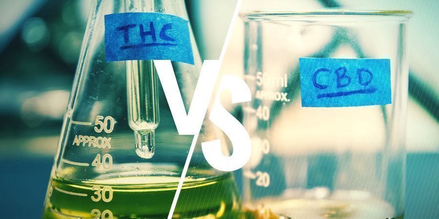 THC og CBD: Hvad er forskellen? THC og CBD: Hvad er forskellen?