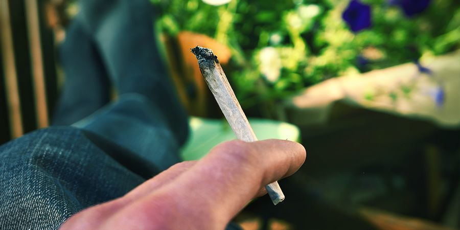 Bagt/blæst BAKED/BLAZED Cannabis