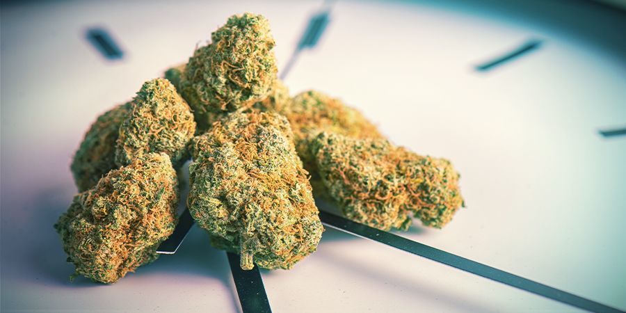 Hvor længe varer en cannabisrus? HVOR LÆNGE VARER EN CANNABISRUS?