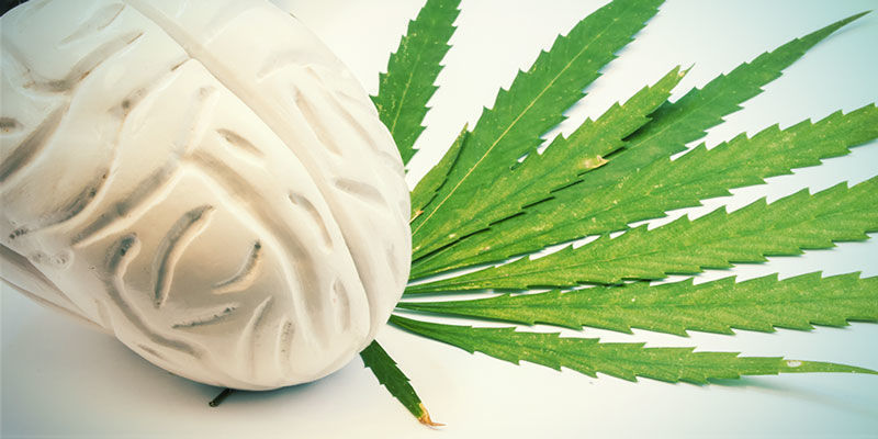 At forstå cannabisoplevelsen At forstå cannabisoplevelsen