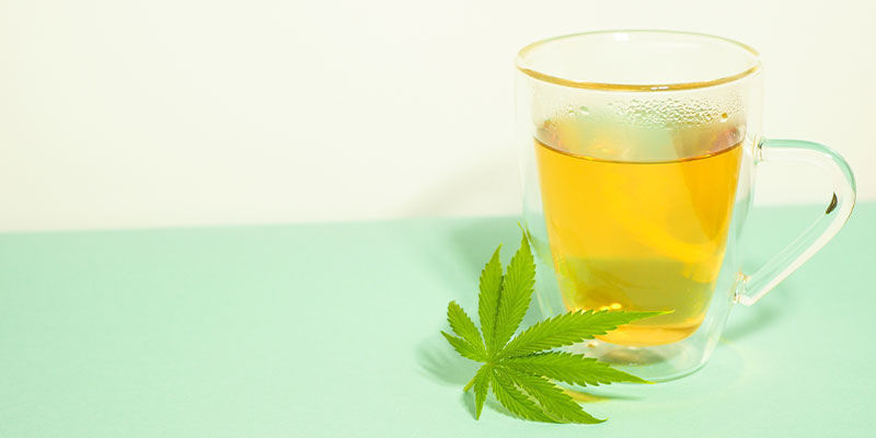 Bryg cannabiste Bryg cannabiste