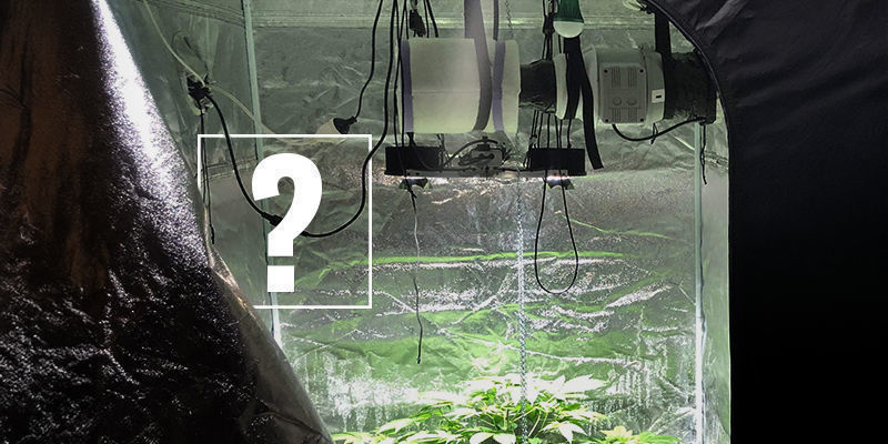 Hvorfor bruge et kulfilter, når du dyrker cannabis? Hvorfor bruge et kulfilter, når du dyrker cannabis?